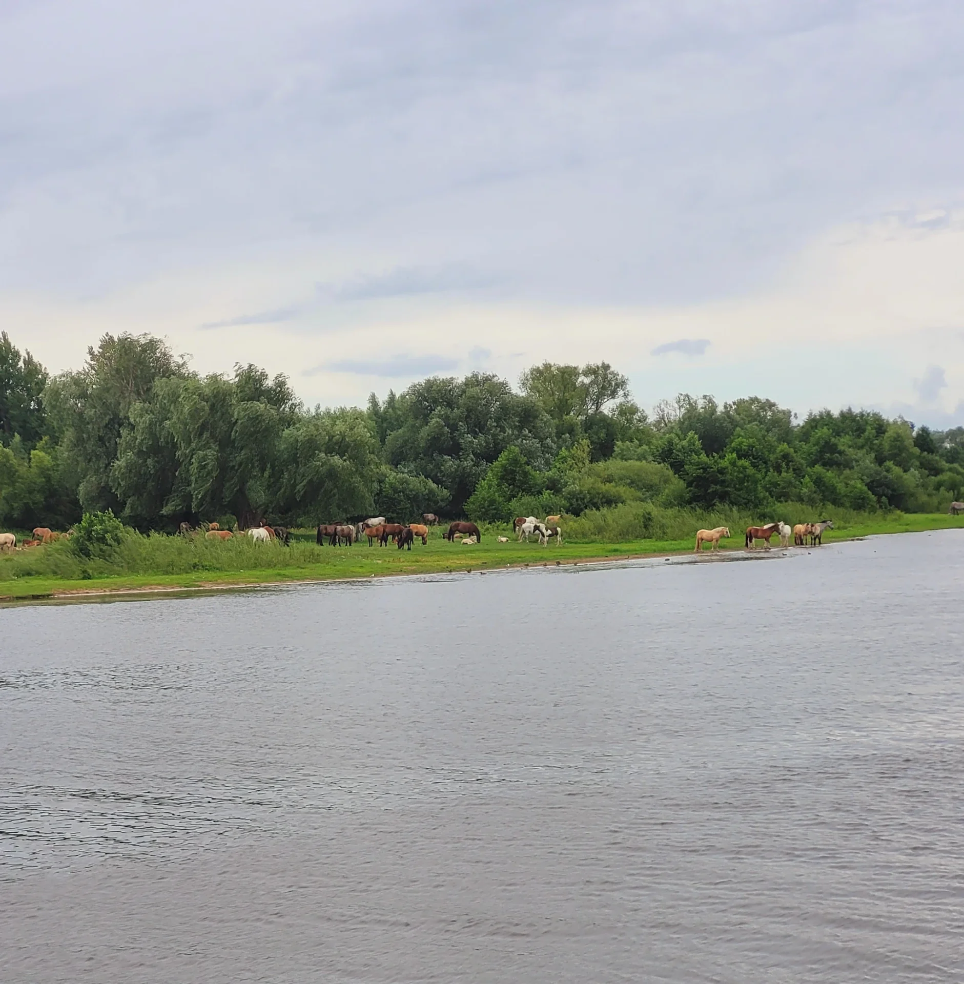 The Great Chance of Multipolarity