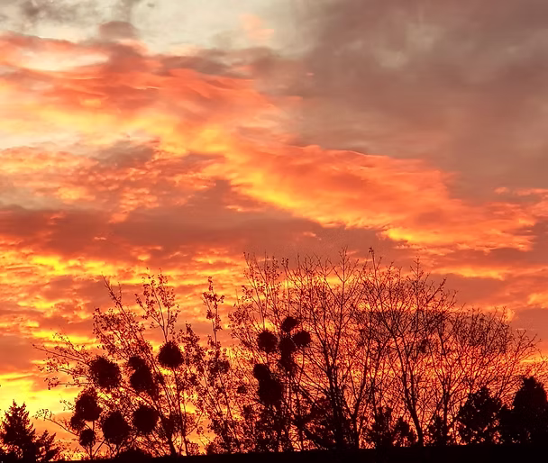 The sun rises in the East: A plea for identity, nations and international understanding